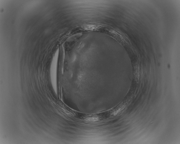 X0000068890653200605081321