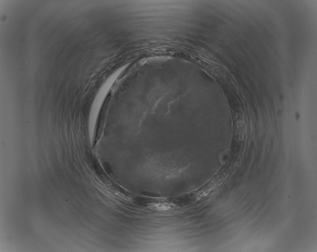 X0000068890654200605081321