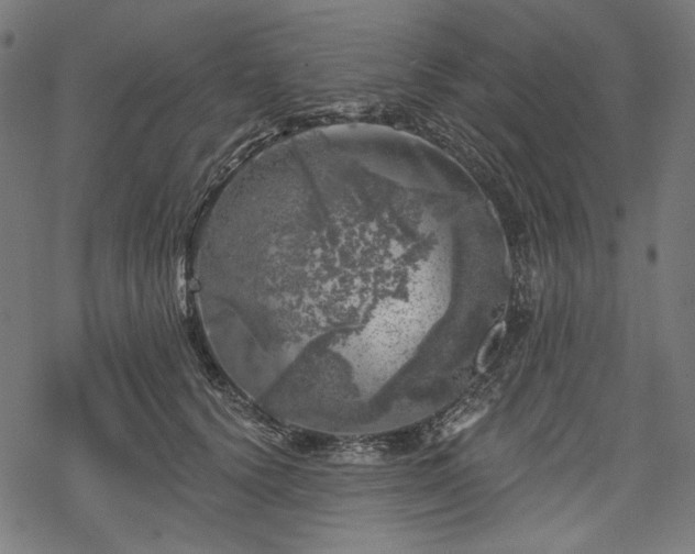 X0000068890656200605081321