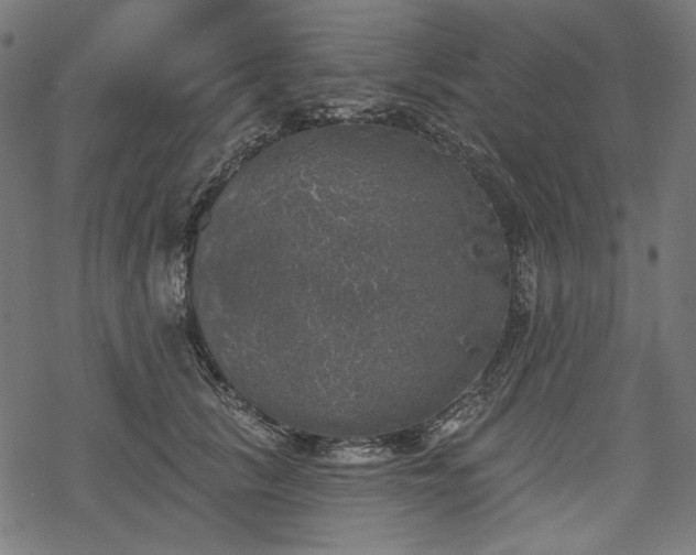 X0000068890657200605081321