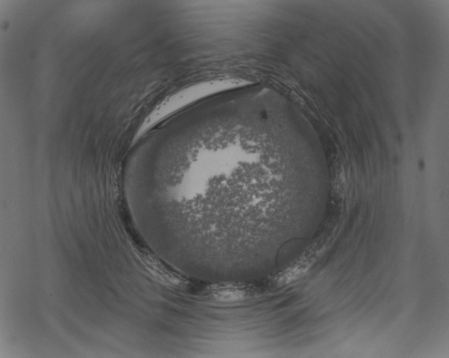 X0000068890658200605081321