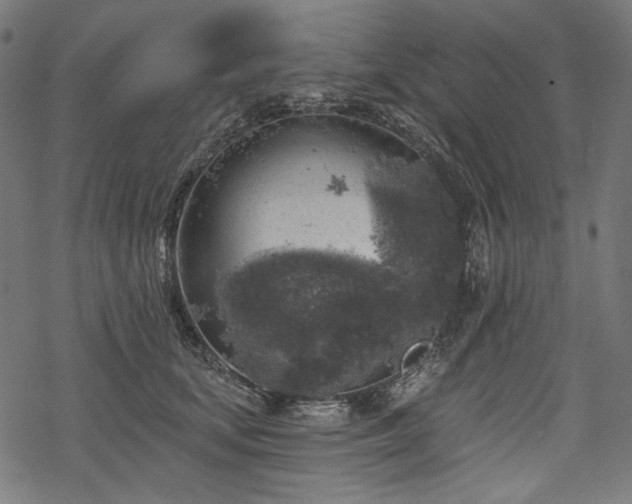 X0000068890659200605081321