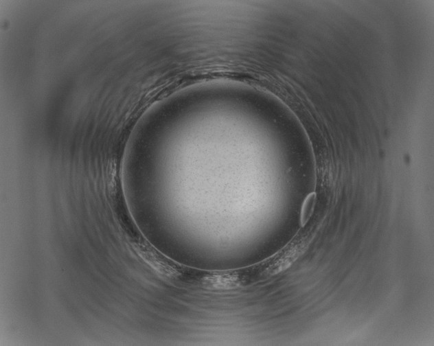 X0000068890660200605081321