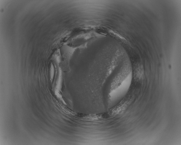 X0000068890661200605081321