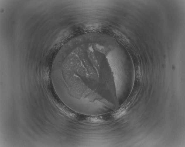 X0000068890662200605081321