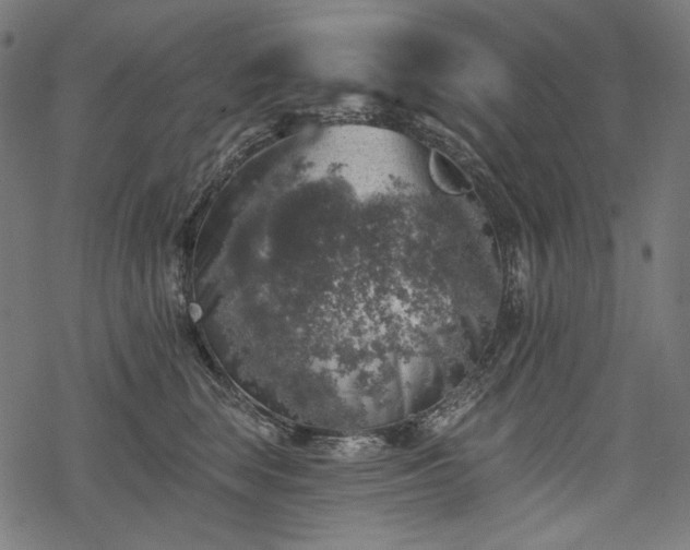 X0000068890663200605081321