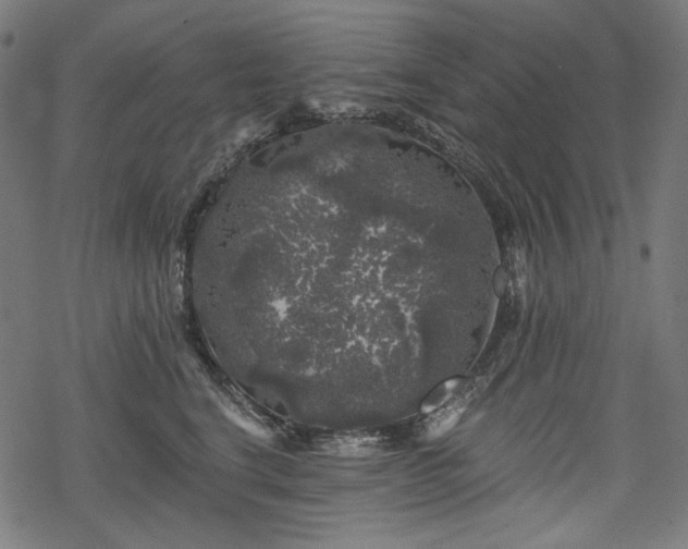 X0000068890664200605081321