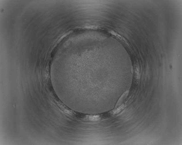 X0000068890665200605081321