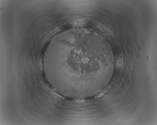 X0000068890666200605081321