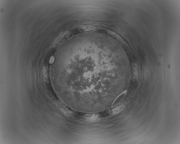 X0000068890667200605081321