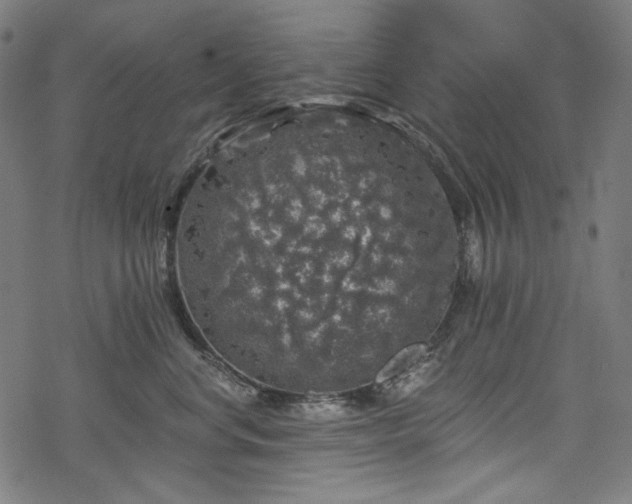 X0000068890668200605081321