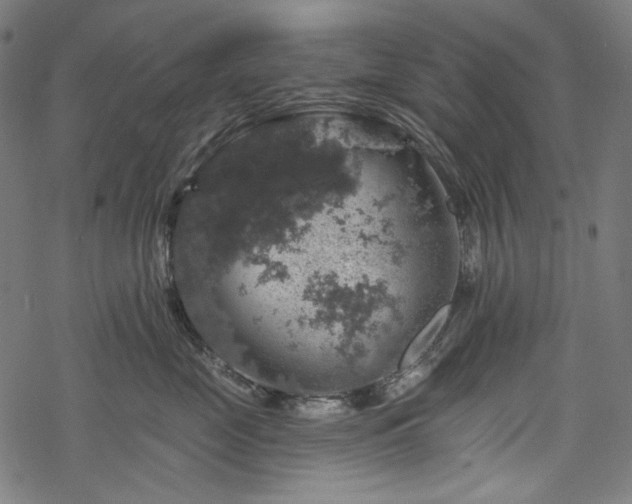 X0000068890669200605081321