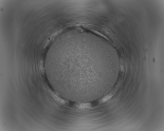 X0000068890670200605081321