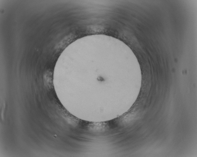 X0000068890672200605081321