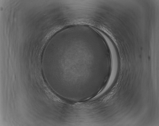 X0000068890673200605081320