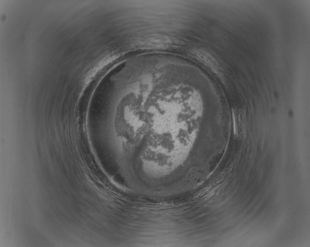 X0000068890675200605081320