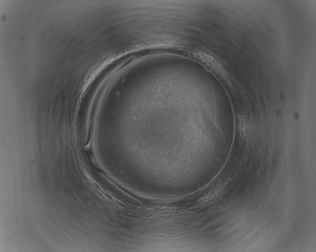 X0000068890676200605081320