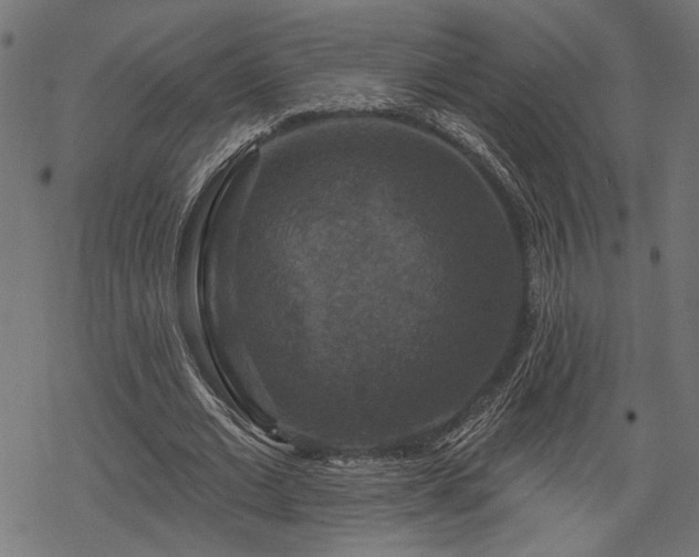 X0000068890677200605081320