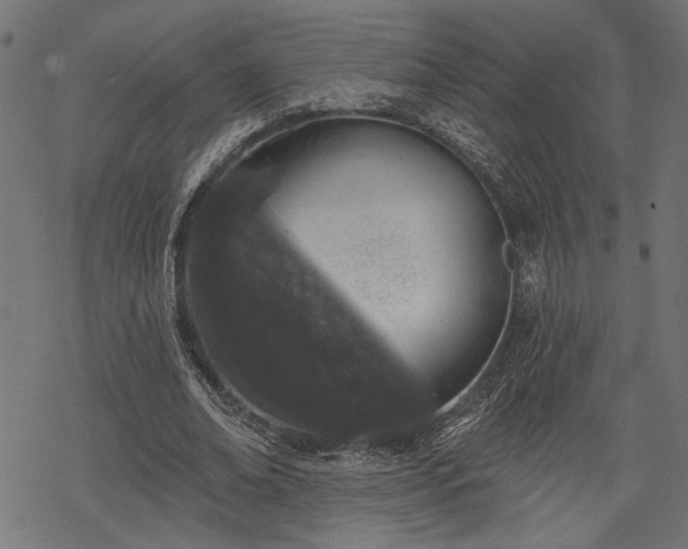 X0000068890678200605081320