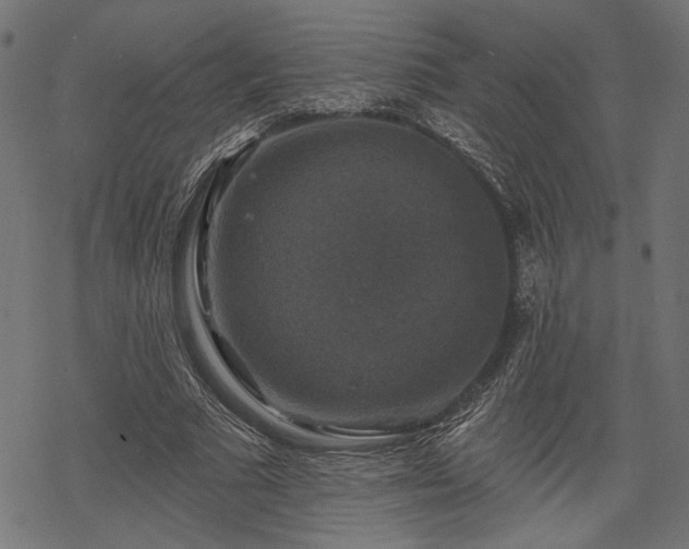 X0000068890681200605081320