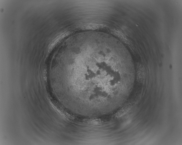 X0000068890683200605081320