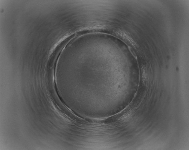 X0000068890684200605081320