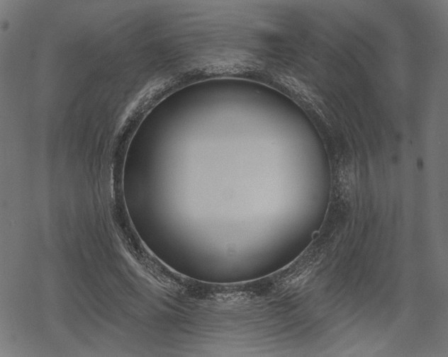 X0000068890686200605081320