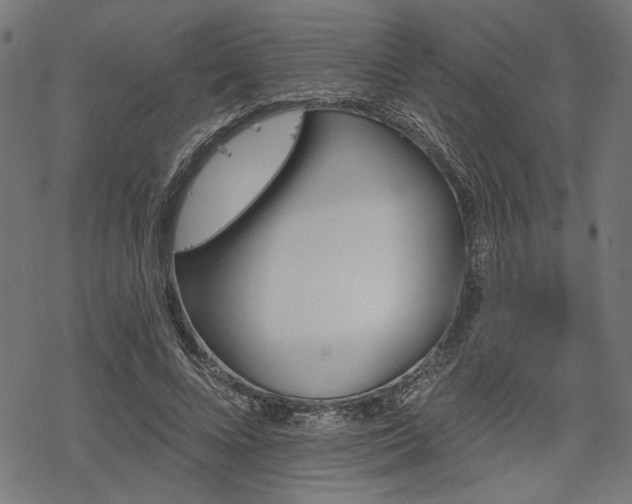 X0000068890688200605081320