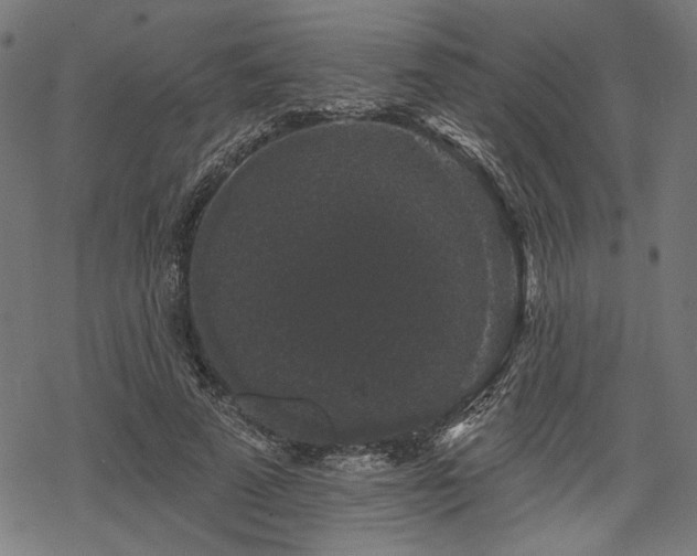 X0000068890689200605081320