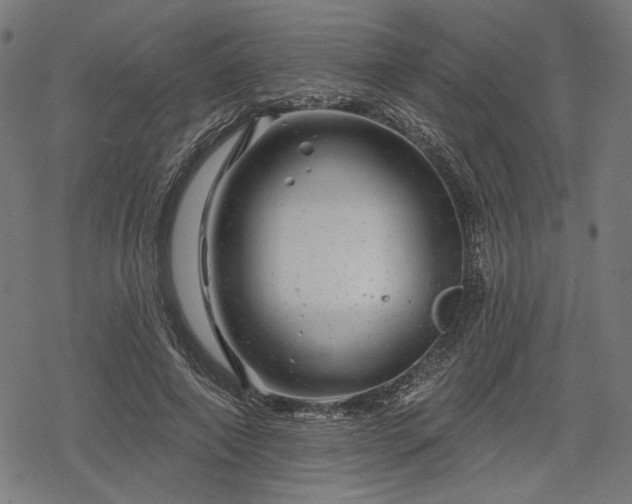 X0000068890690200605081320