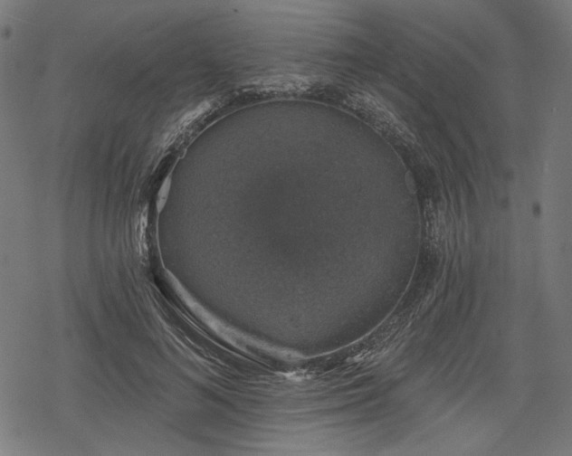 X0000068890692200605081320