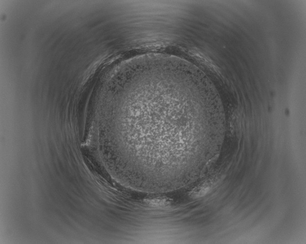 X0000068890693200605081320