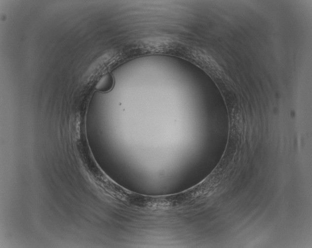 X0000068890694200605081320