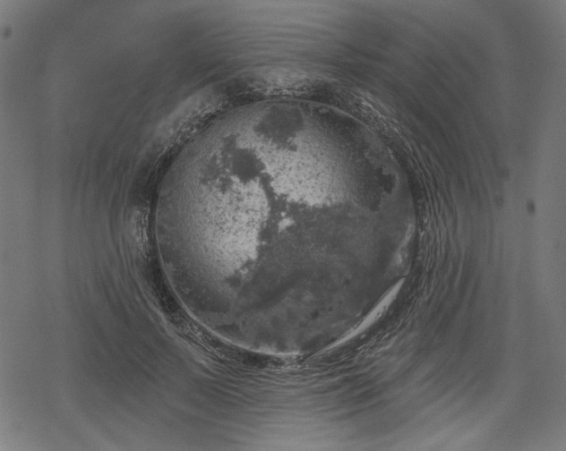 X0000068890695200605081320