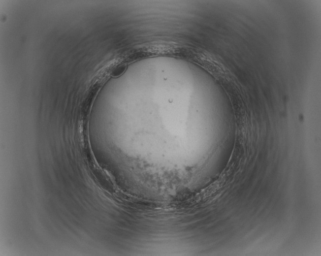 X0000068890696200605081320