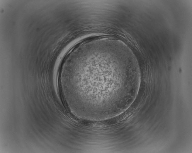 X0000068890697200605081320