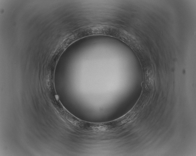 X0000068890698200605081320