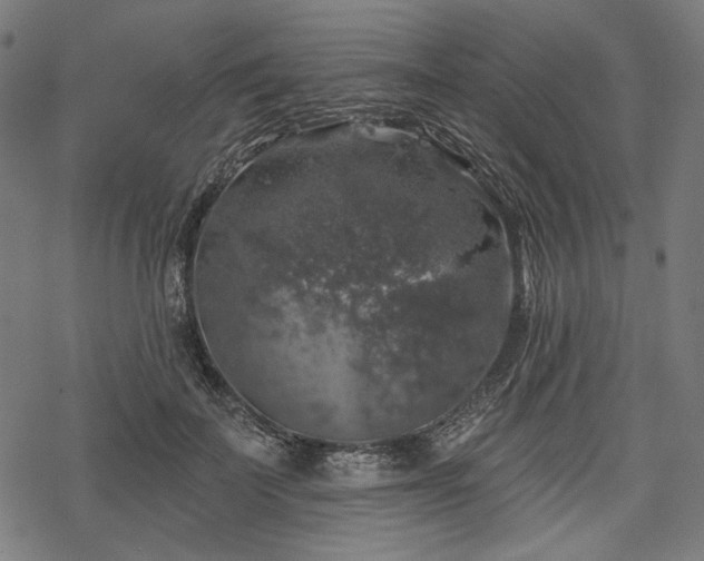 X0000068890699200605081320