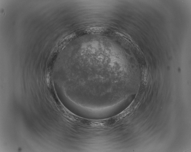 X0000068890701200605081320