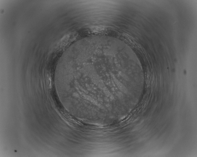 X0000068890703200605081320