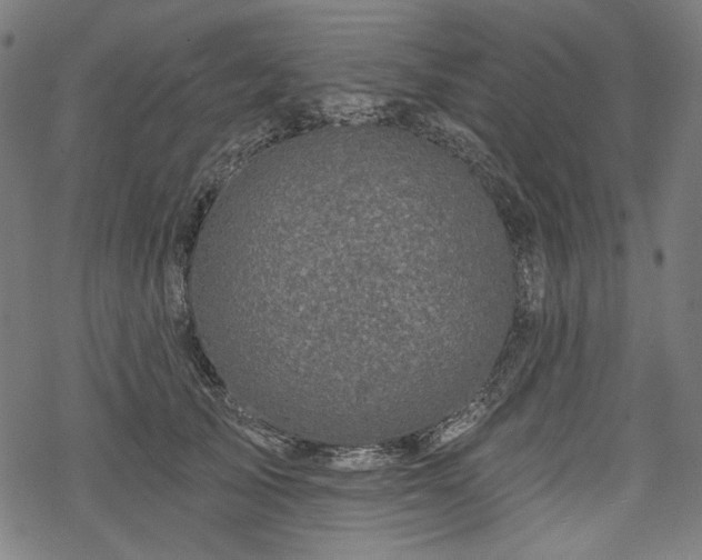 X0000068890705200605081320