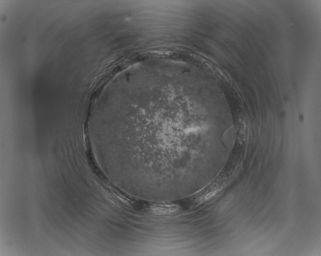 X0000068890707200605081320