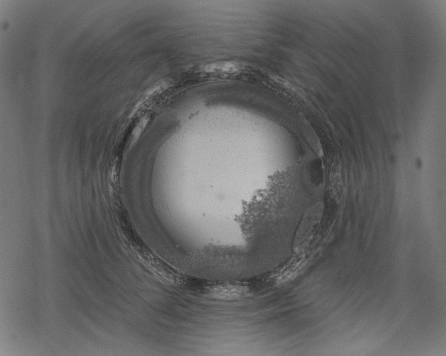 X0000068890708200605081320