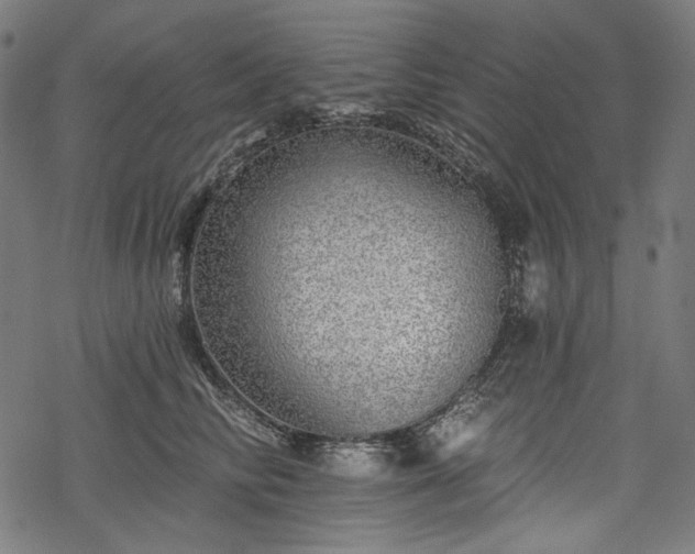 X0000068890710200605081320