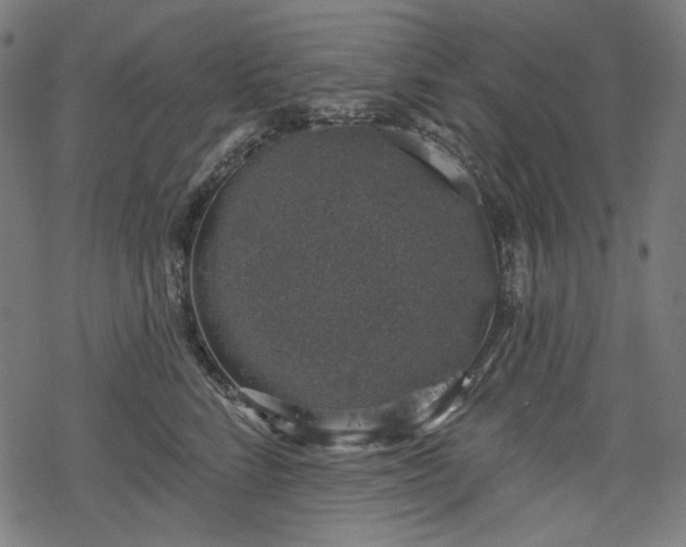 X0000068890712200605081320