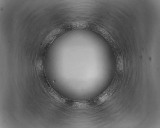 X0000068890713200605081320