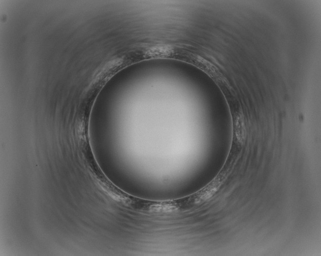 X0000068890714200605081320