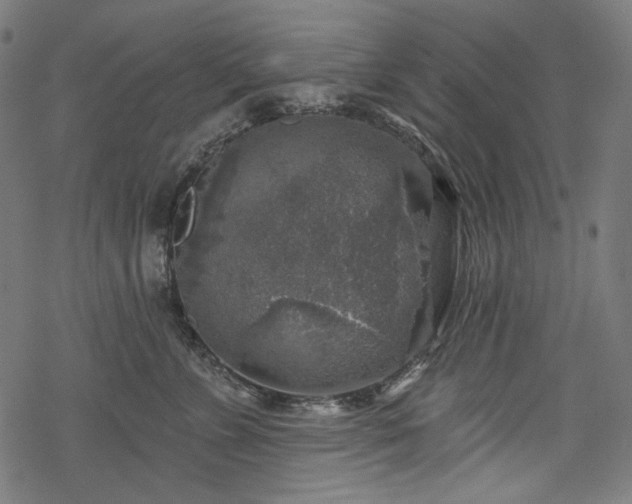 X0000068890715200605081320