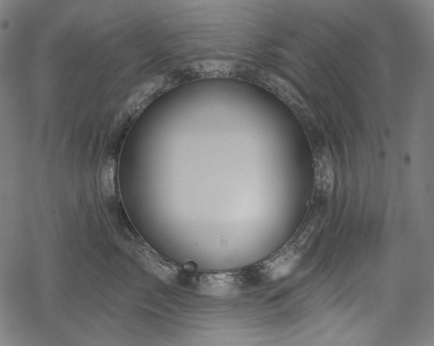 X0000068890717200605081319