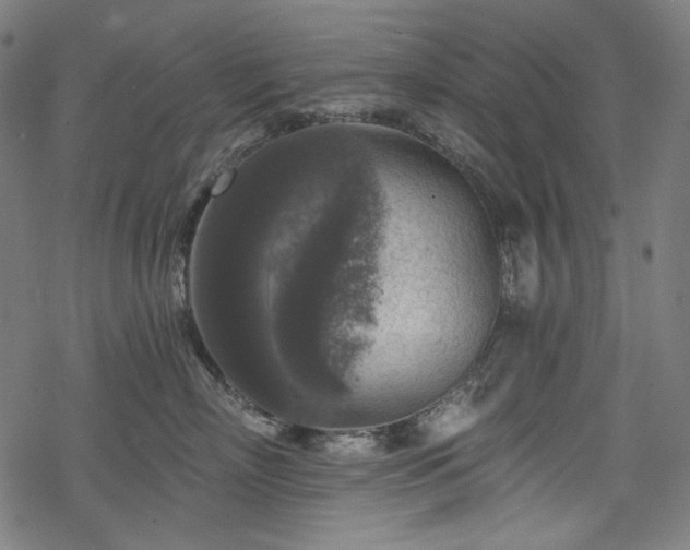 X0000068890718200605081319